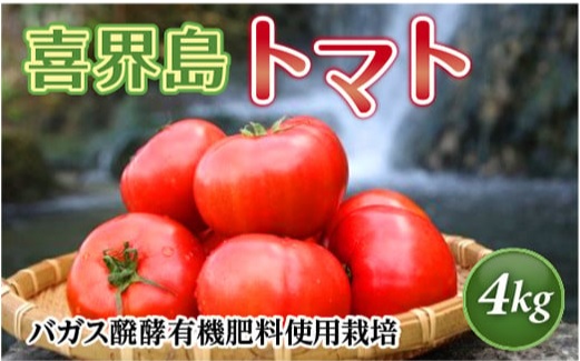 喜界島トマト　4kg