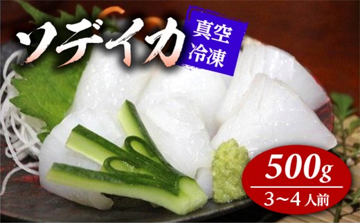 【2023年11月から発送】冷凍ソデイカ　500g(3~4人前)【真空冷凍】
