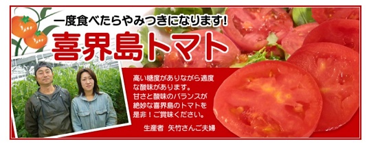 喜界町産トマト3.5kg~4.0kg【矢竹農園】