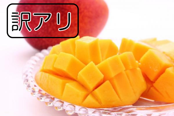 【訳あり】無加温栽培『完熟マンゴー』１Kg　高岡農園