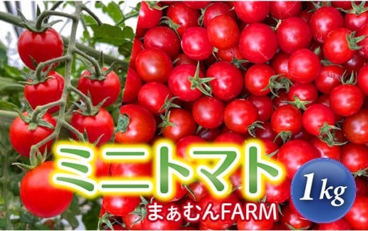 喜界島産ミニトマト　１kg【まぁむんFARM】