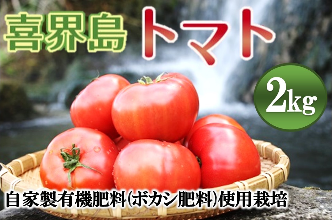 【４回お届け】『喜界島トマト』自家製有機肥料(ボカシ肥料)使用栽培　２kg×４回　定期便