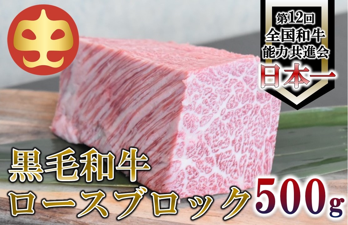 【うしの中山】 黒毛和牛 ロースブロック　500ｇ