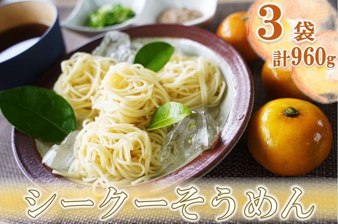 【喜界島在来柑橘を使用した】シークーそうめん ３袋 計960g